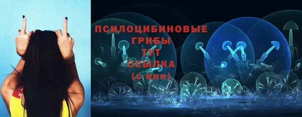 а пвп мука Аркадак
