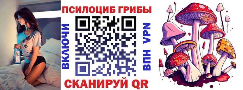 Купить  Сибай  Галлюциногенные грибы MAGIC MUSHROOMS 